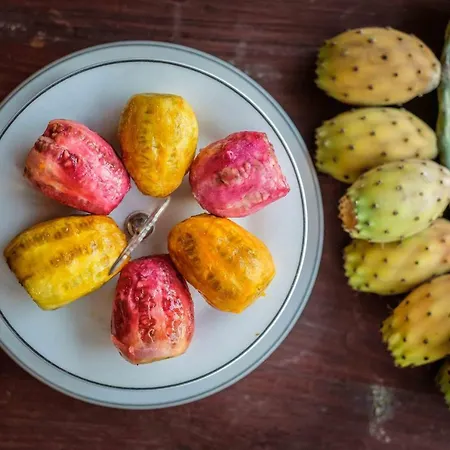 Bed & Breakfast Summer Dream Cyprus *