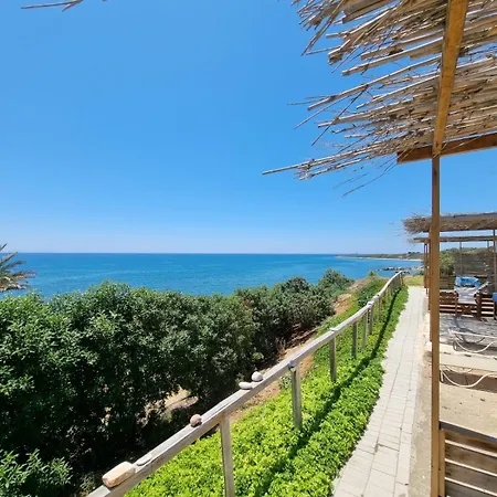 Summer Dream Cyprus