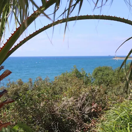 Summer Dream Cyprus Bed & Breakfast Maroni