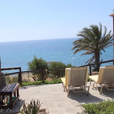 Summer Dream Cyprus *