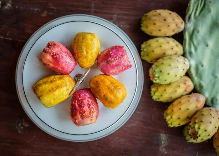 Bed and breakfast Summer Dream Cyprus *