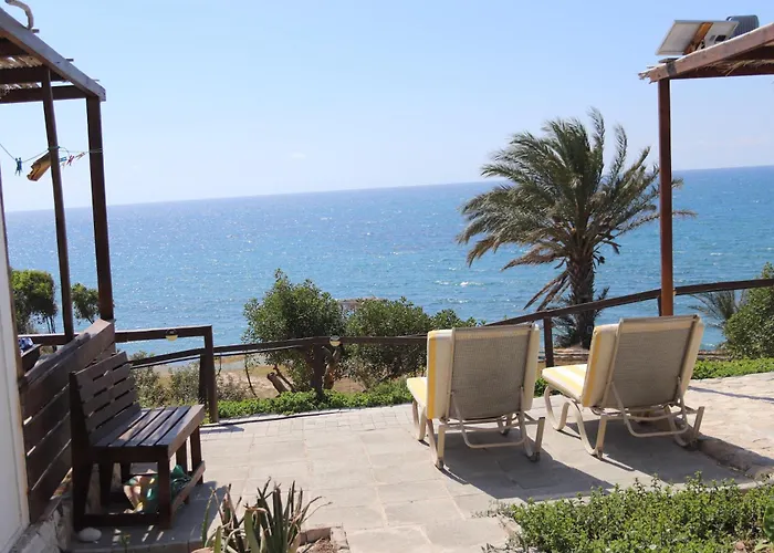 Summer Dream Cyprus *