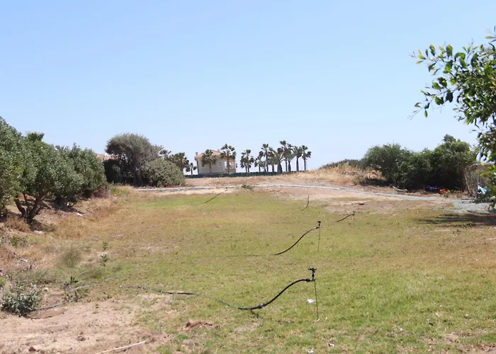 Summer Dream Cyprus Bed and breakfast *