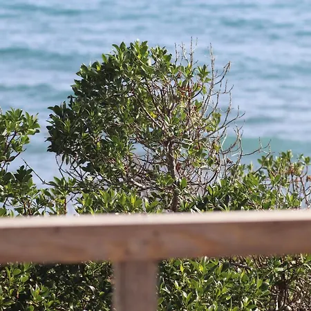 Summer Dream Cyprus *