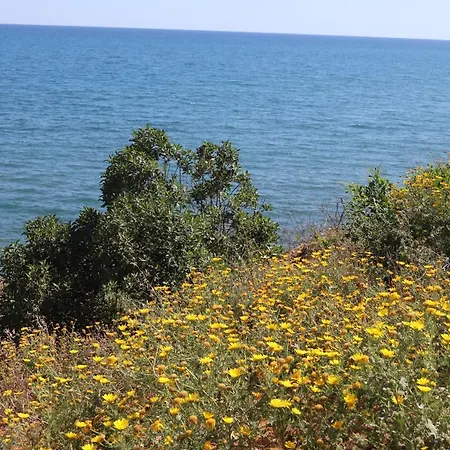 Summer Dream Cyprus Maroni