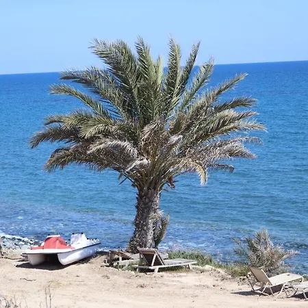 Summer Dream Cyprus Maroni