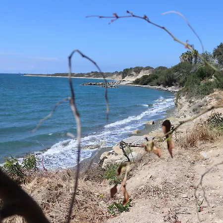 Summer Dream Cyprus Maroni