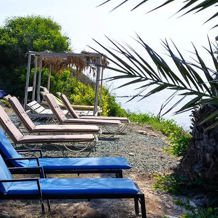 Summer Dream Cyprus Maroni