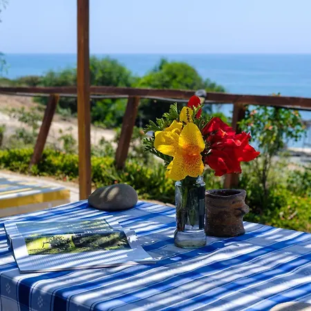 Summer Dream Cyprus