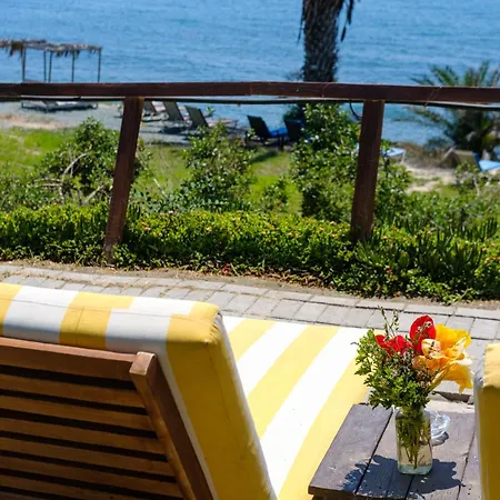 Summer Dream Cyprus