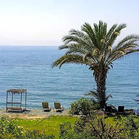 Summer Dream Cyprus Bed & Breakfast Maroni