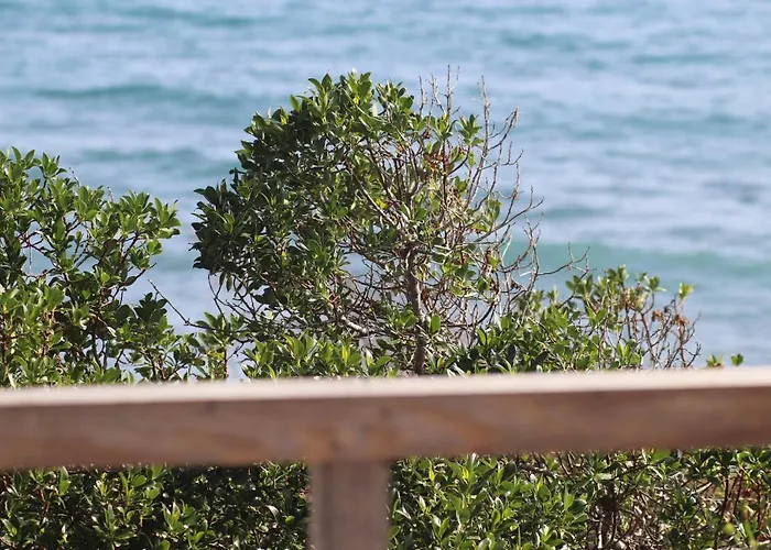 Summer Dream Cyprus *