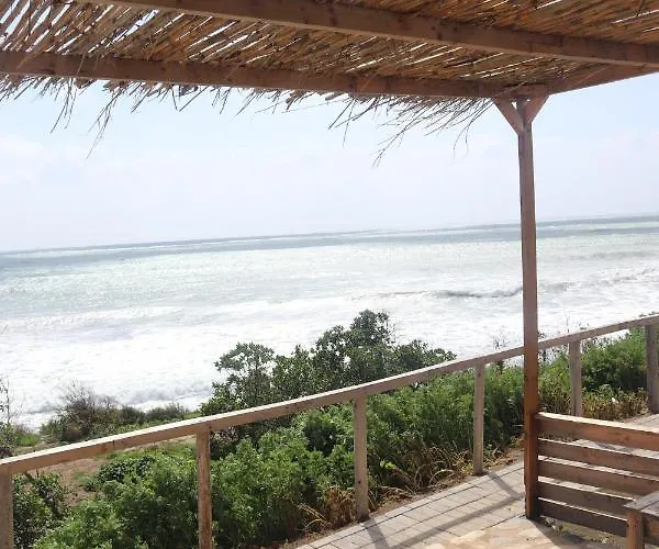 Summer Dream Cyprus Bed & Breakfast