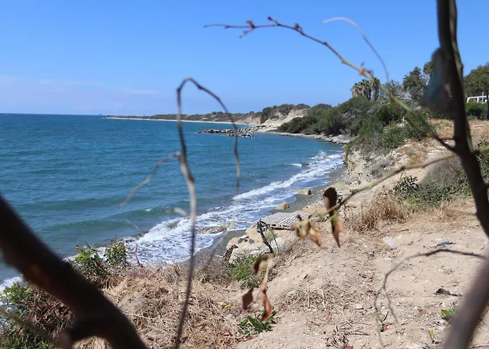 Summer Dream Cyprus Maroni